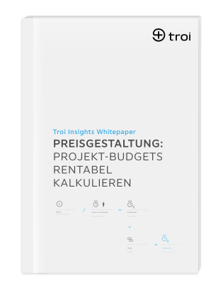 Preisgestaltung Insights Whitepaper